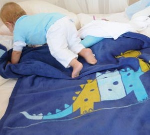 dino blanket