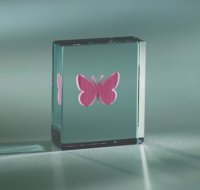 Pink Butterfly Glass Token by Spaceform